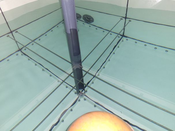 Completed water tank cleaning with certification for managing agent in Newcastle