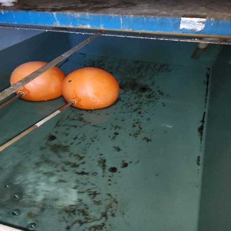 Commercial tank before maintenance